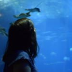 13712118_153461441742990_623843040_n