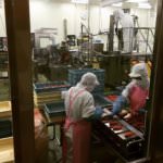 14309938_300310240331854_886927800_n