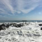 16584035_1868688896749012_1876565370190430208_n