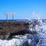 18513692_129881684246437_2221958715920089088_n