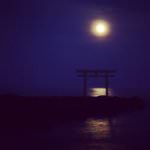 19955398_238297603342231_3963431808279773184_n