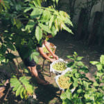 Processed with VSCO with hb1 preset