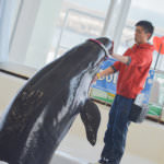 29095343_179800329311299_2681342447895707648_n