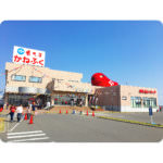 30884428_1949687655346614_8457716888535826432_n