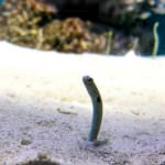 30890532_198836627408809_6535663231950651392_n