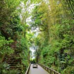 31174490_126670618196880_2764822687845974016_n