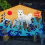 31203712_127672051430090_8595895147613388800_n