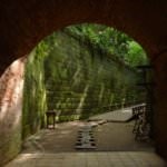 6fffd06781ae674f6b2f42d8d557da14