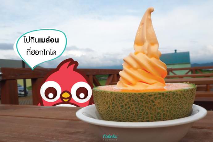 เที่ยวญี่ปุ่นหน้าร้อน : กินเมล่อนสดๆ จากสวนที่ฮอกไกโด (Hokkaido)