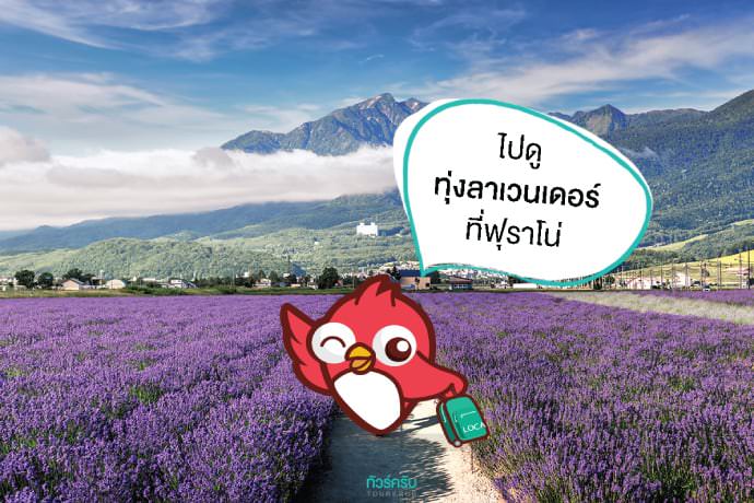 เที่ยวญี่ปุ่นหน้าร้อน : วิ่งเล่นในทุ่งลาเวนเดอร์ สีม่วงสดใสที่โทมิตะฟาร์ม (Tomita Farm) จ.ฟุราโน่ (Furano)