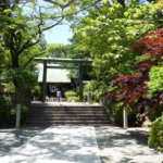 146232353576803010180_05_20160504095856