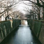 Processed with VSCO with a6 preset