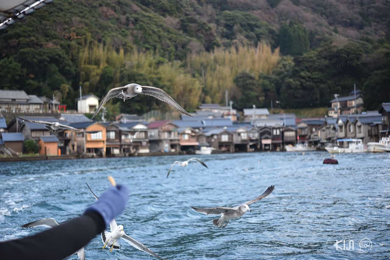 มีขนมฮานามิถุงเล็กๆ แจกเพื่อให้อาหารนกนางนวลในขณะที่เรือกำลังแล่นอยู่ (Ine Fishing Village)