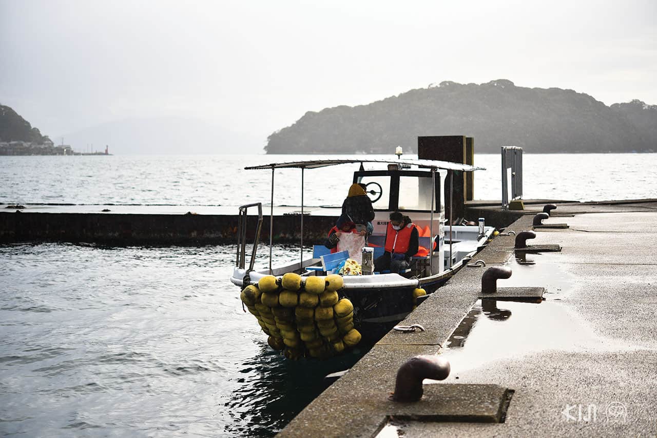 เรือนำเที่ยวในอ่าวอิเนะ