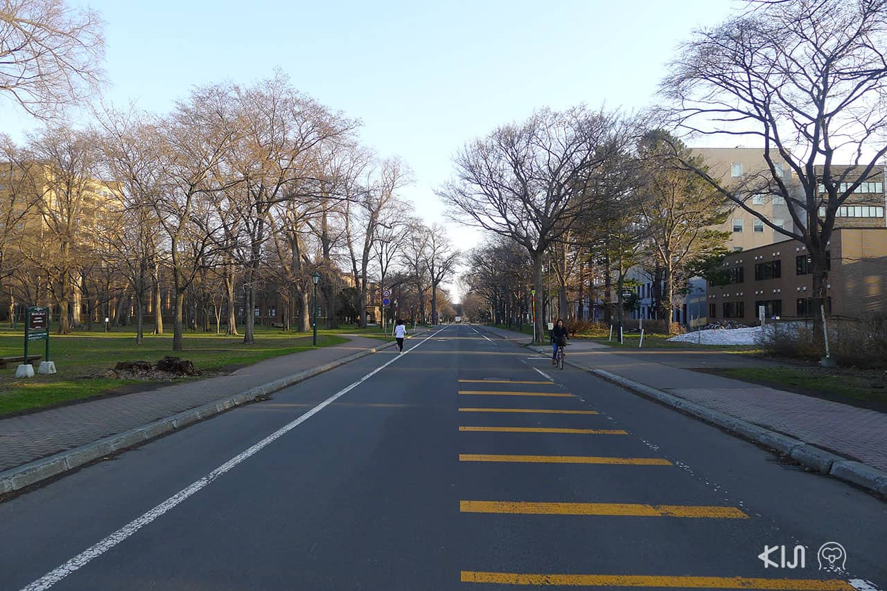 บรรยากาศภายในมหาวิทยาลัยฮอกไดโด