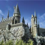 attraction-slide1-768×481