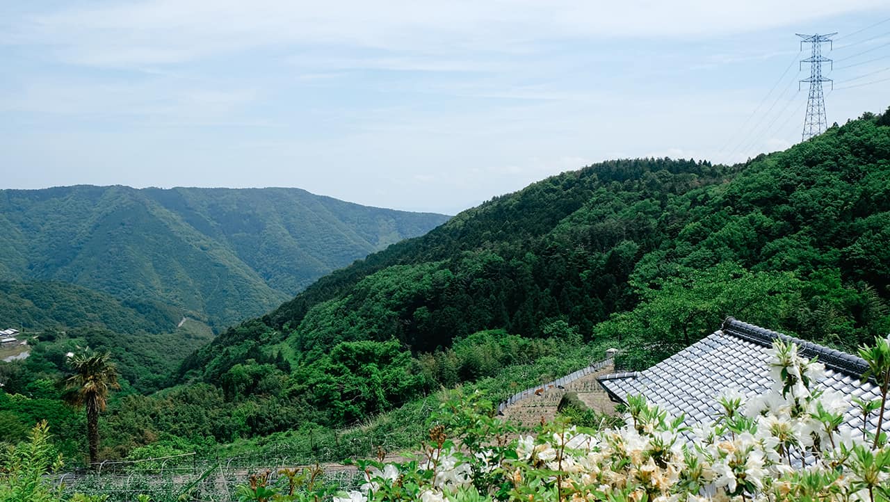 ภูเขาสวยในเมืองมิมะ (Mima)