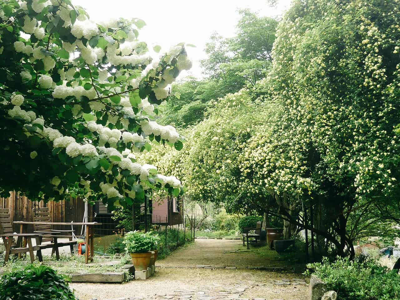 บริเวณรอบฟาร์มสเตย์ Guest House " YOSHI"