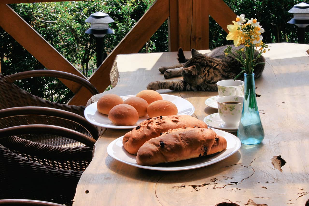 ขนมปังและกาแฟของฟาร์มสเตย์ Towa Kinoko Koubou