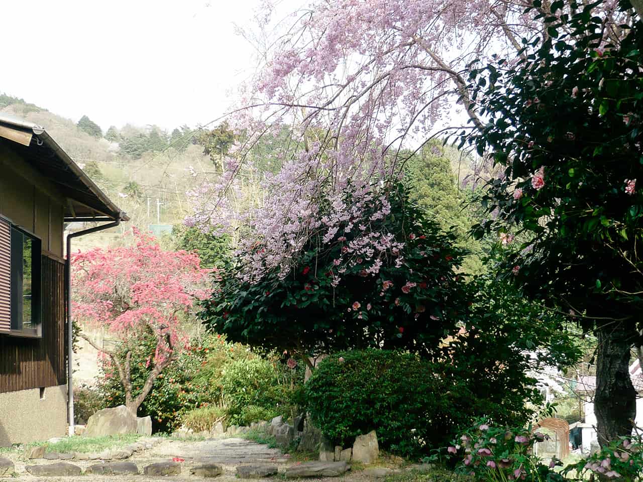 บรรยากาศรอบๆฟาร์มสเตย์ Guest House " YOSHI"