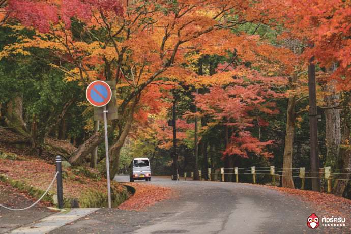 5 สถานที่ชมใบไม้เปลี่ยนสีญี่ปุ่น ที่จัดว่าเด็ด!