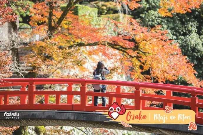 โอซาก้า (Osaka) : วนอุทยานเมจิโนะโมริมิโน (Meiji no Mori Mino Quasi Nation Park)