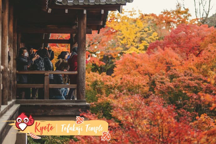 เกียวโต (Kyoto) : วัดโทฟุคุจิ (Tofukuji Temple)