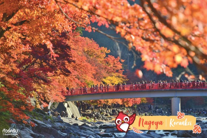 นาโกย่า (Nagoya) : หุบเขาโครังเค (Korankei)