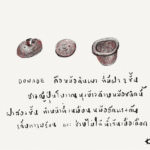 Paper.Cook Rice with Donabe.2