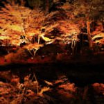 5a706a1c5bc87_5a7069546b7ff_1245506772