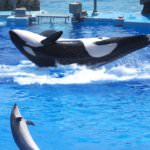 8831bff4-ab0c-4848-a98c-72531f869f4b