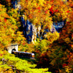 รถไฟ Joyful Train [Resort Minori] ที่ลอดผ่านอุโมงค์มายังหุบเขานารุโกะ