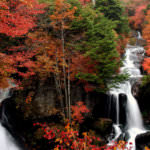 bfc7f539dd2695c92cfb6b30194194bc