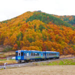 รถไฟ HIGH RAIL 1375 ที่แล่นผ่านธรรมชาติในฤดูใบไม้ร่วง