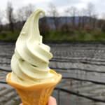 IMG_3531-e1493110790167