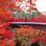 kcmbpwbvhuhz4nctg4l5hhlwkul07tt5r