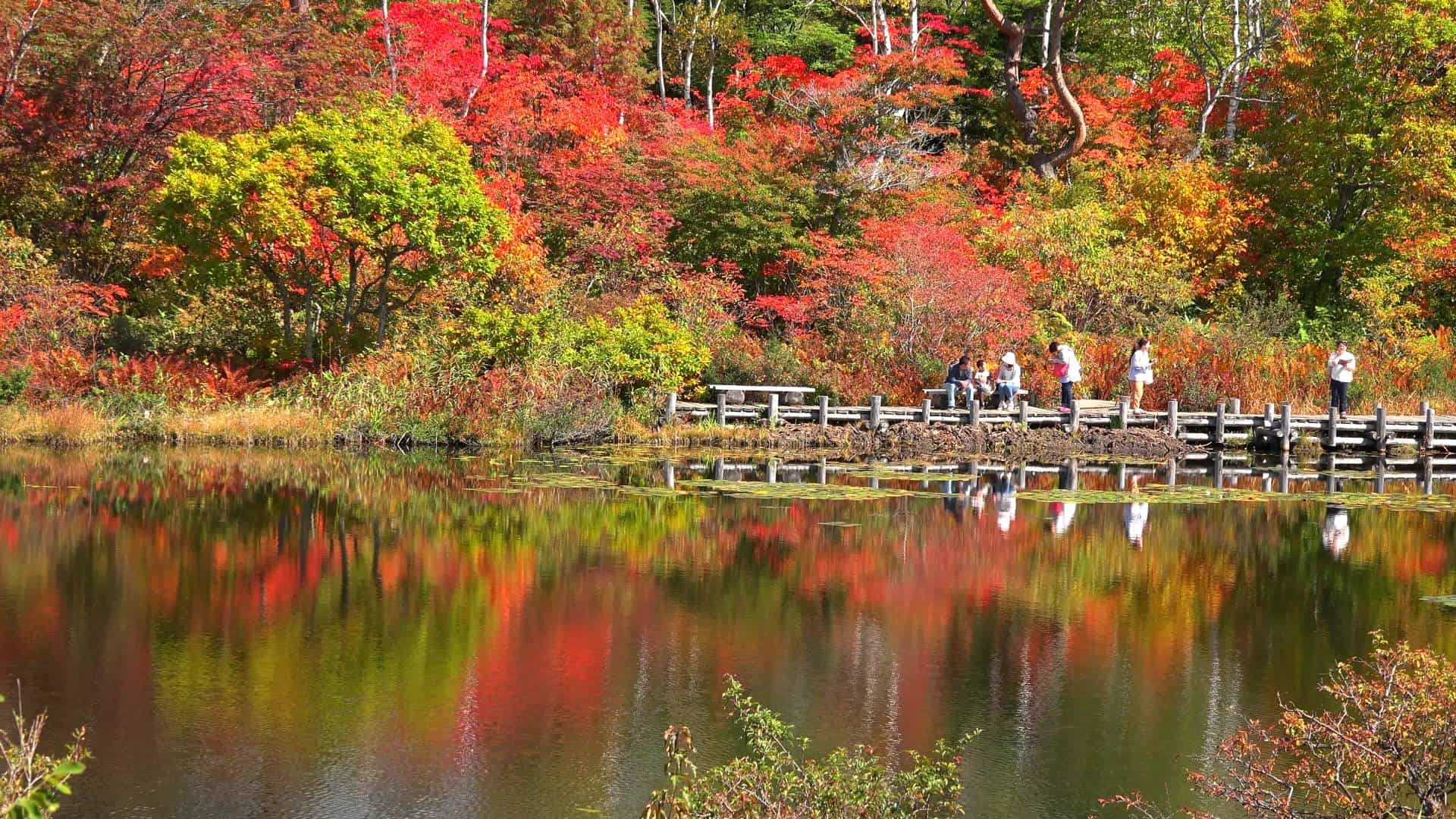 ทะเลสาบโอนุมะ จุดชมใบไม้เปลี่ยนสีในชิกะโคเกน