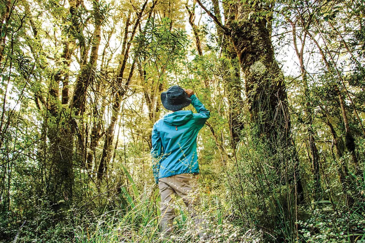 ชินรินโยคุ” (Shinrin-yoku / 森林浴) หรือหมายถึง การอาบป่า