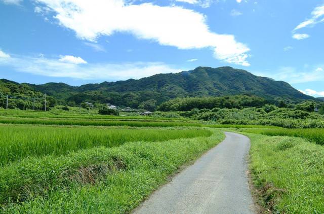 เช่ารถขับเที่ยวในโอกินาว่า ขับไปตามทางที่มีฉากหลังเป็นภูเขา