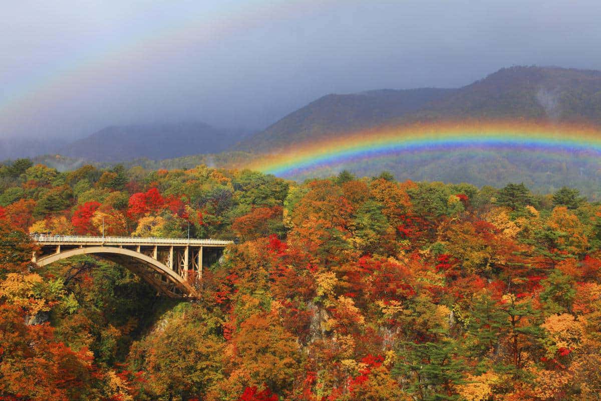 หุบเขาสุดสวยนารุโกะ (Narugo Gorge) จังหวัดมิยากิ