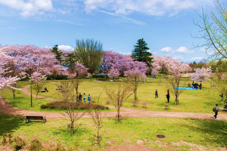 สวนสาธารณะคะโจ (Kajo Park) จังหวัดยามากาตะ