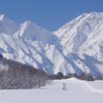 8576052223c9328fc00f1bacab9f2d17