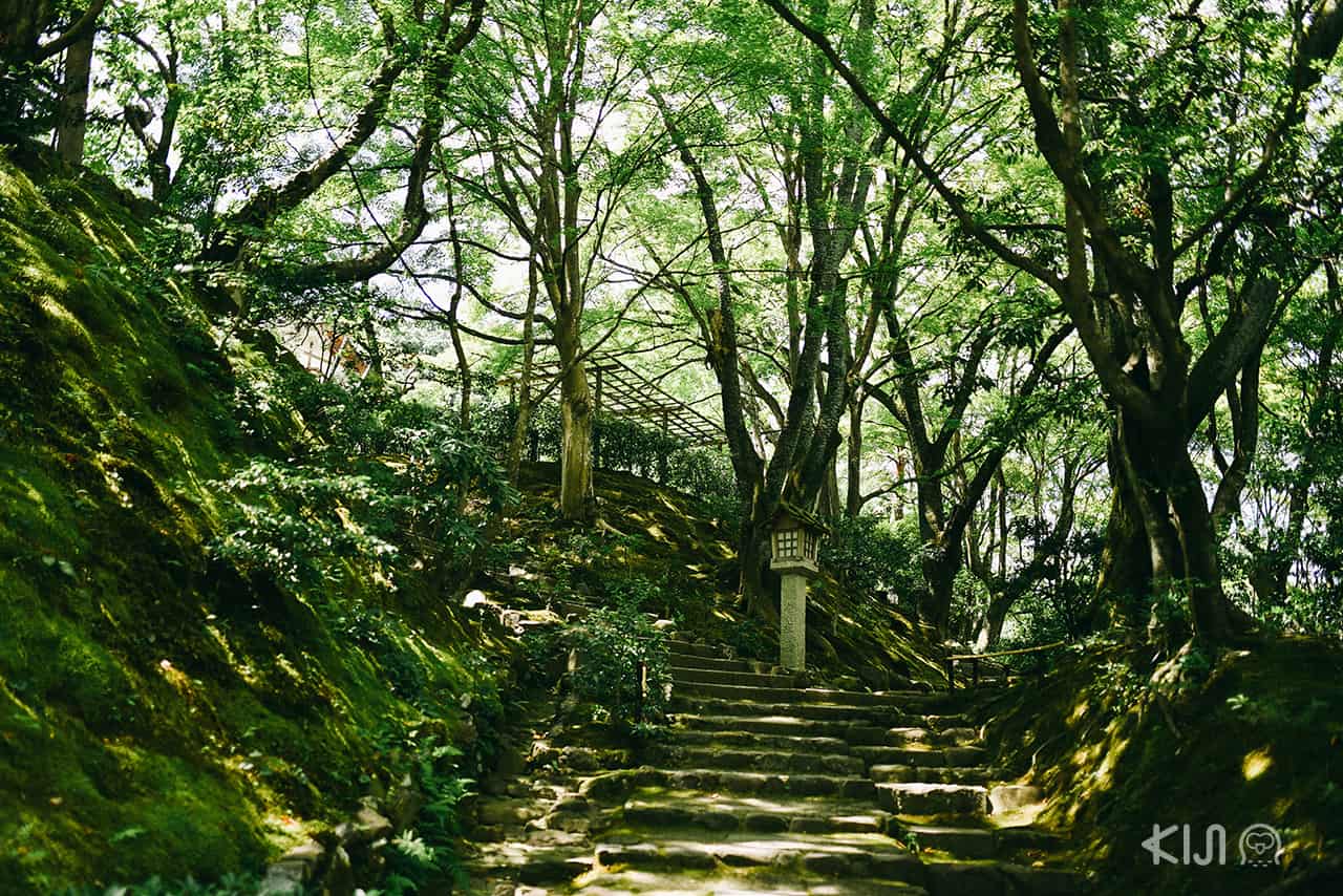 ภายในวัด Jojakkoji Temple ย่านอาราชิยาม่า (Arashiyama) 