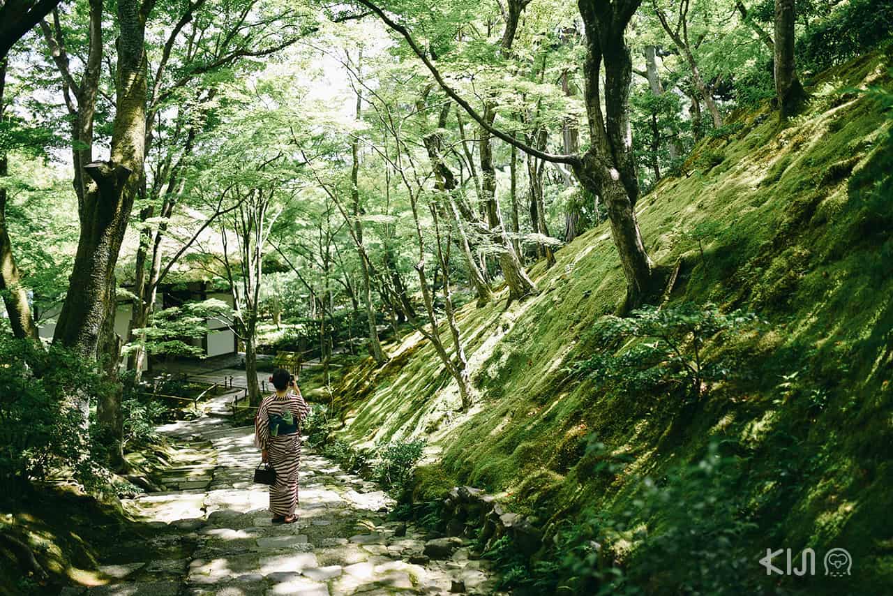 ภายในวัด Jojakkoji Temple ย่านอาอราชิยาม่า (Arasahiyama)