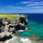 ผางวงช้าง Cape Manzamo