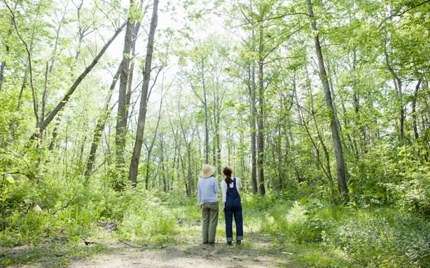 ชินรินโยคุ (Shinrin-yoku)