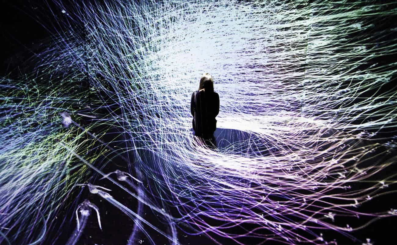 DIGITAL ART MUSEUM "teamLab Borderless" ณ โตเกียว
