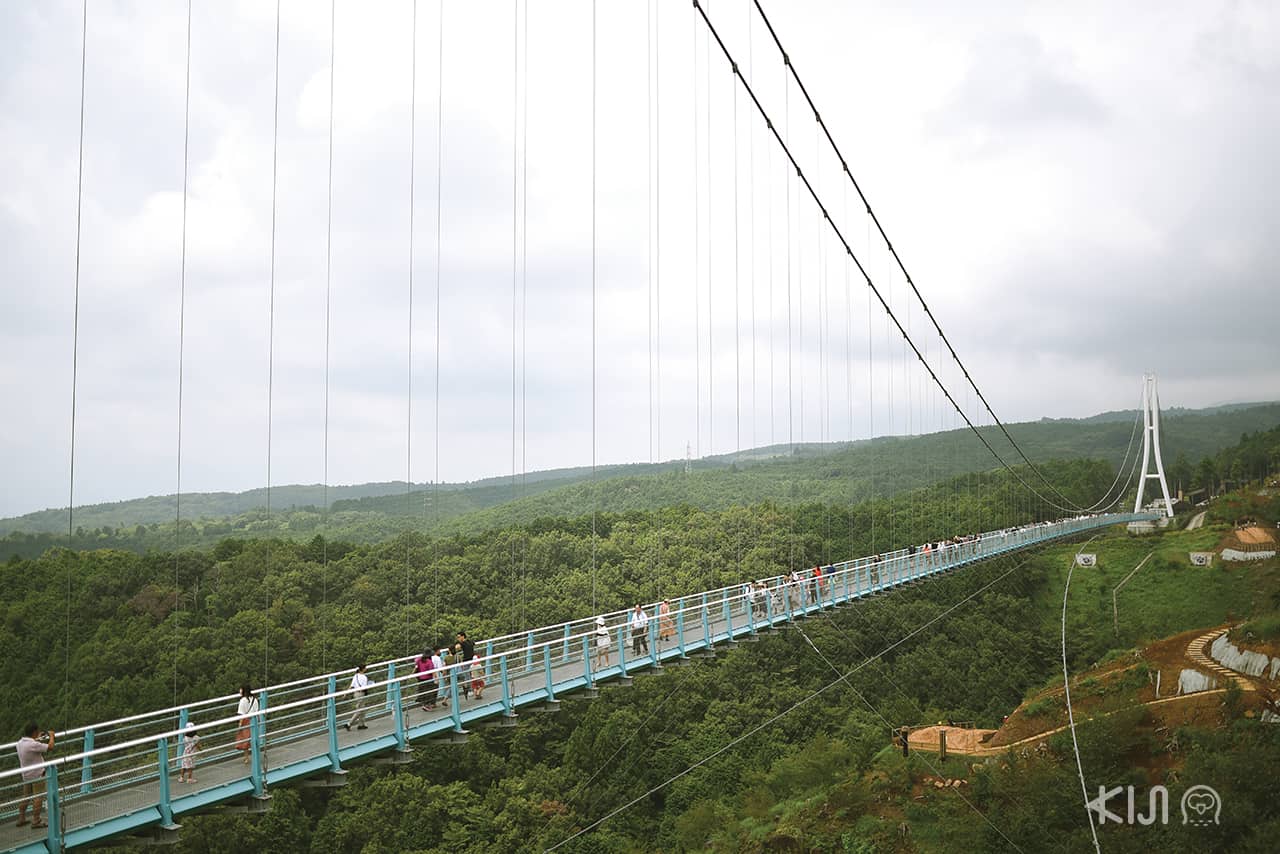 Mishima Skywalk สะพานแขวนยาวที่สุดในญี่ปุ่น