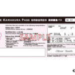 Air Flight Passenger Sitting in Aircraft Casual Clothing Woman i