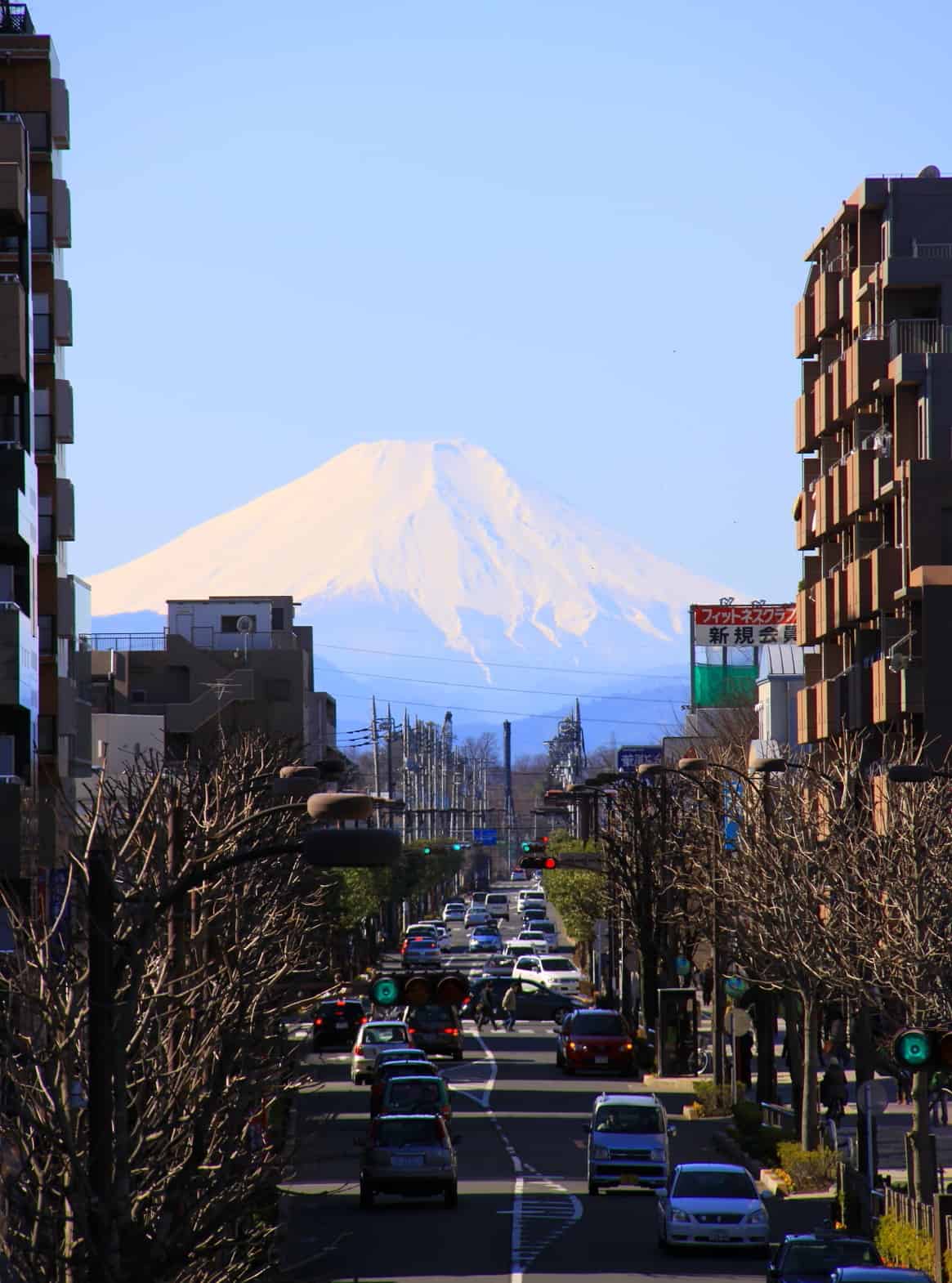 ชมภูเขาไฟฟูจิจาก Fujimi Terrace